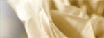 Private Investigator (PI) for Divorces