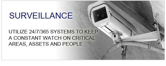 Surveillance Systems